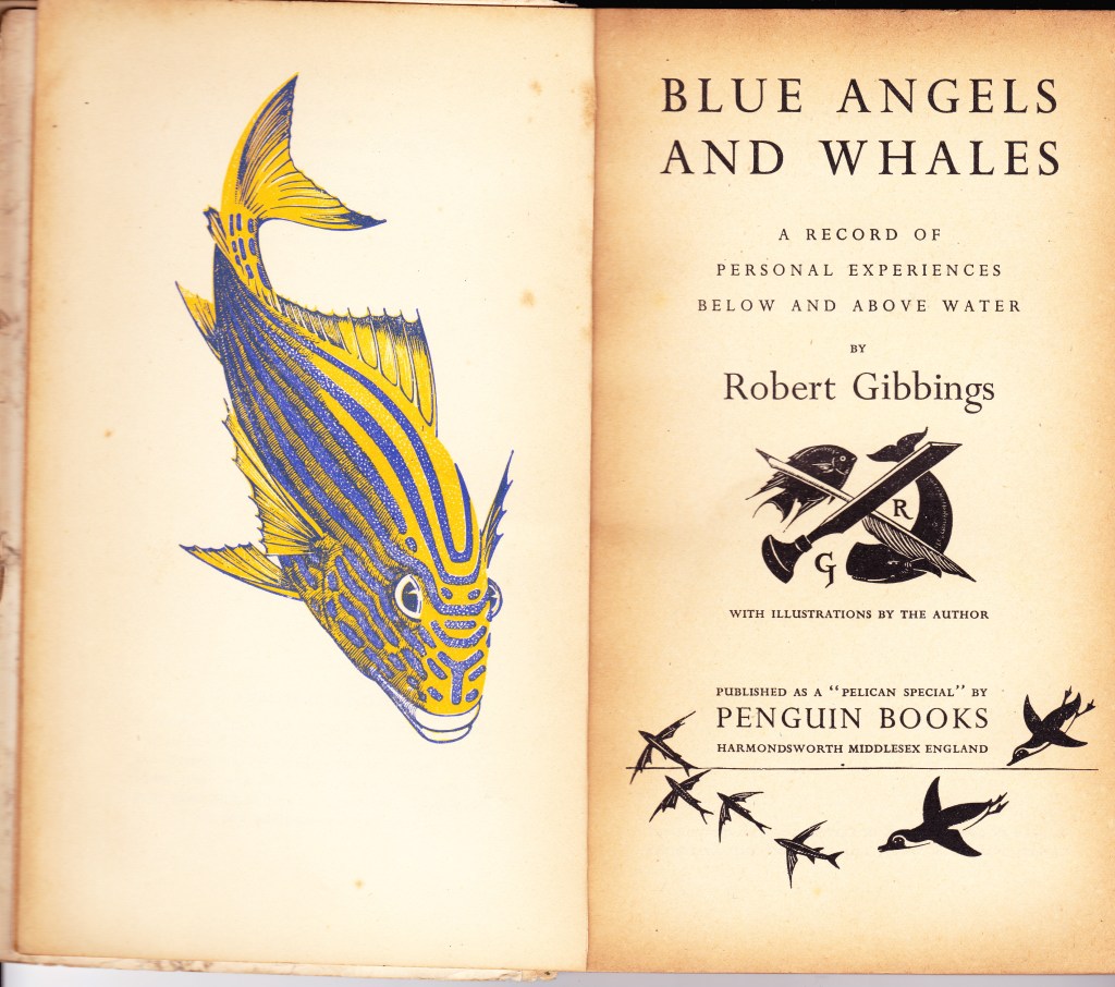 Penguin Specials compared_0003