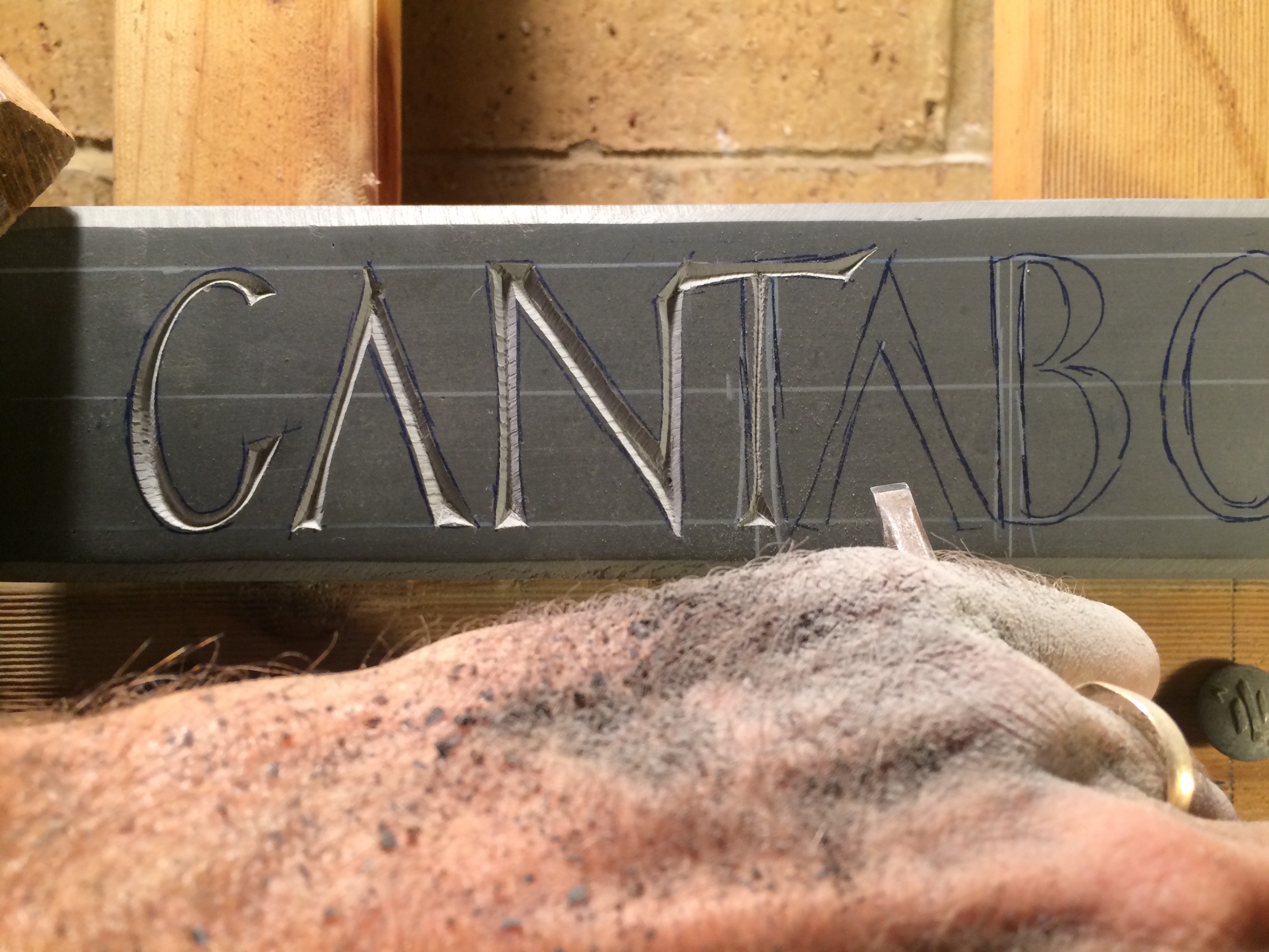 cantabo_hand